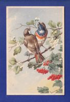 OISEAU