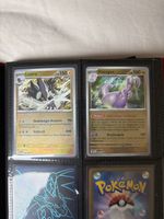 Pokémon Karten Luxtra und Viscogon guter Zustand
