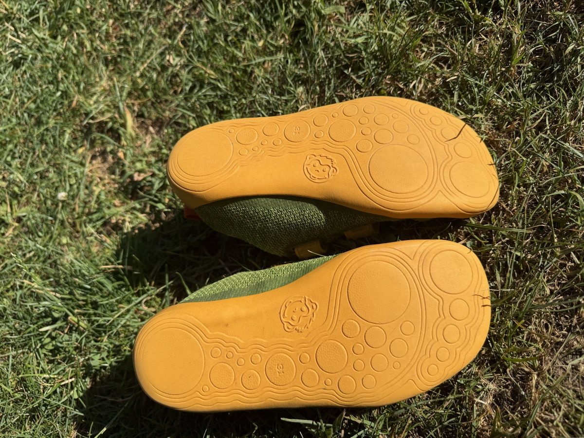 Affenzahn Scarpe da uomo: Affenzahn Turnschuh Gr 31 – Usato da Dürnten venduto da NicAuer 2