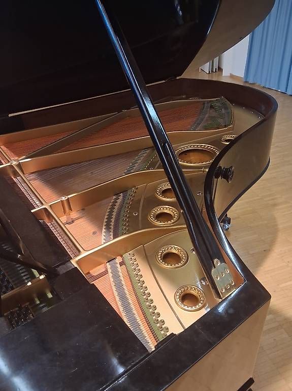 Instruments de musique: Bechstein Flügel B – D'occasion à Dornach par inf_vtl8 1