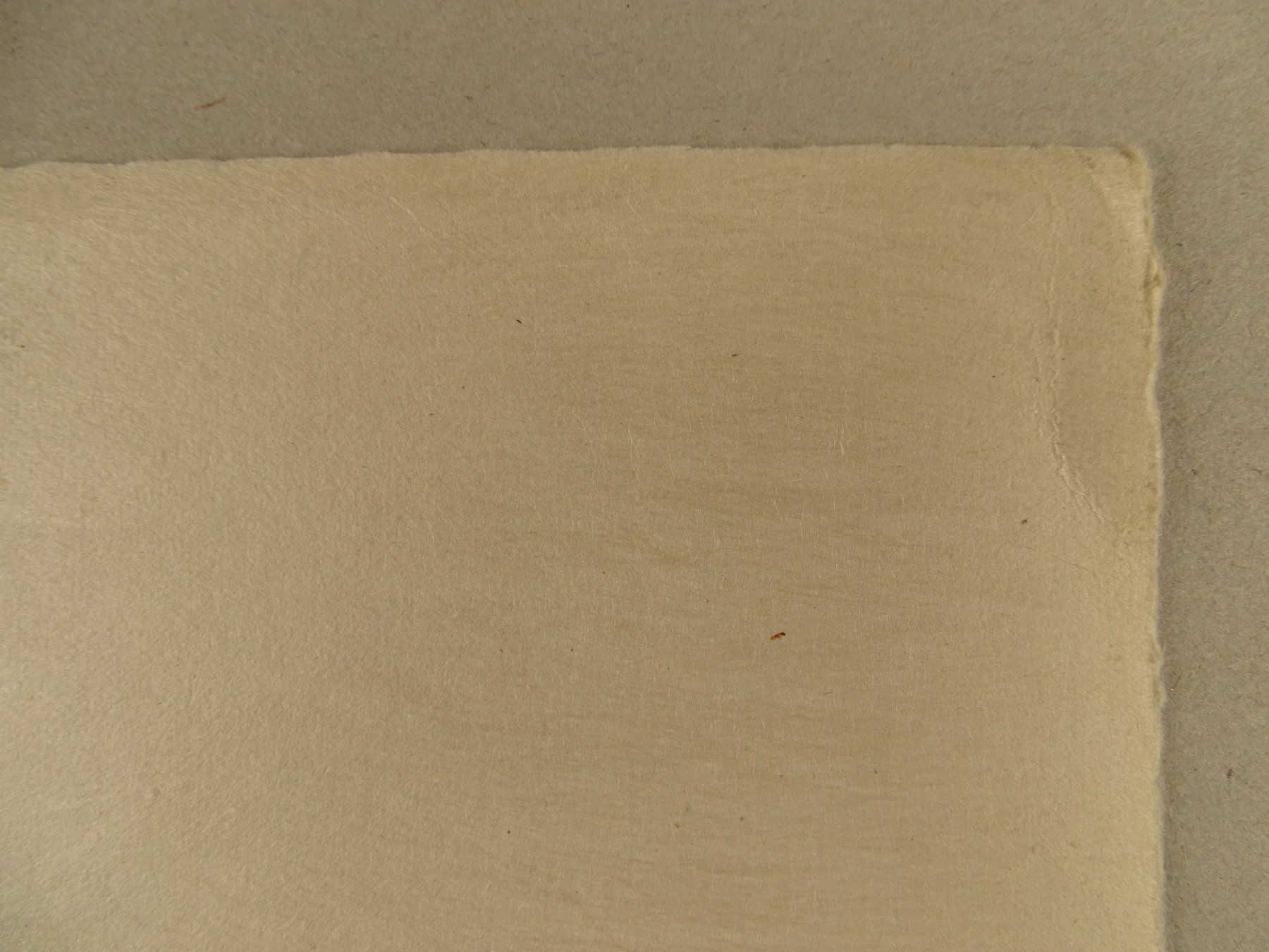 Incisioni: RHEINAU, LITHOGRAPHIE 1938 – Usato da Grüningen venduto da Kartensammler 9