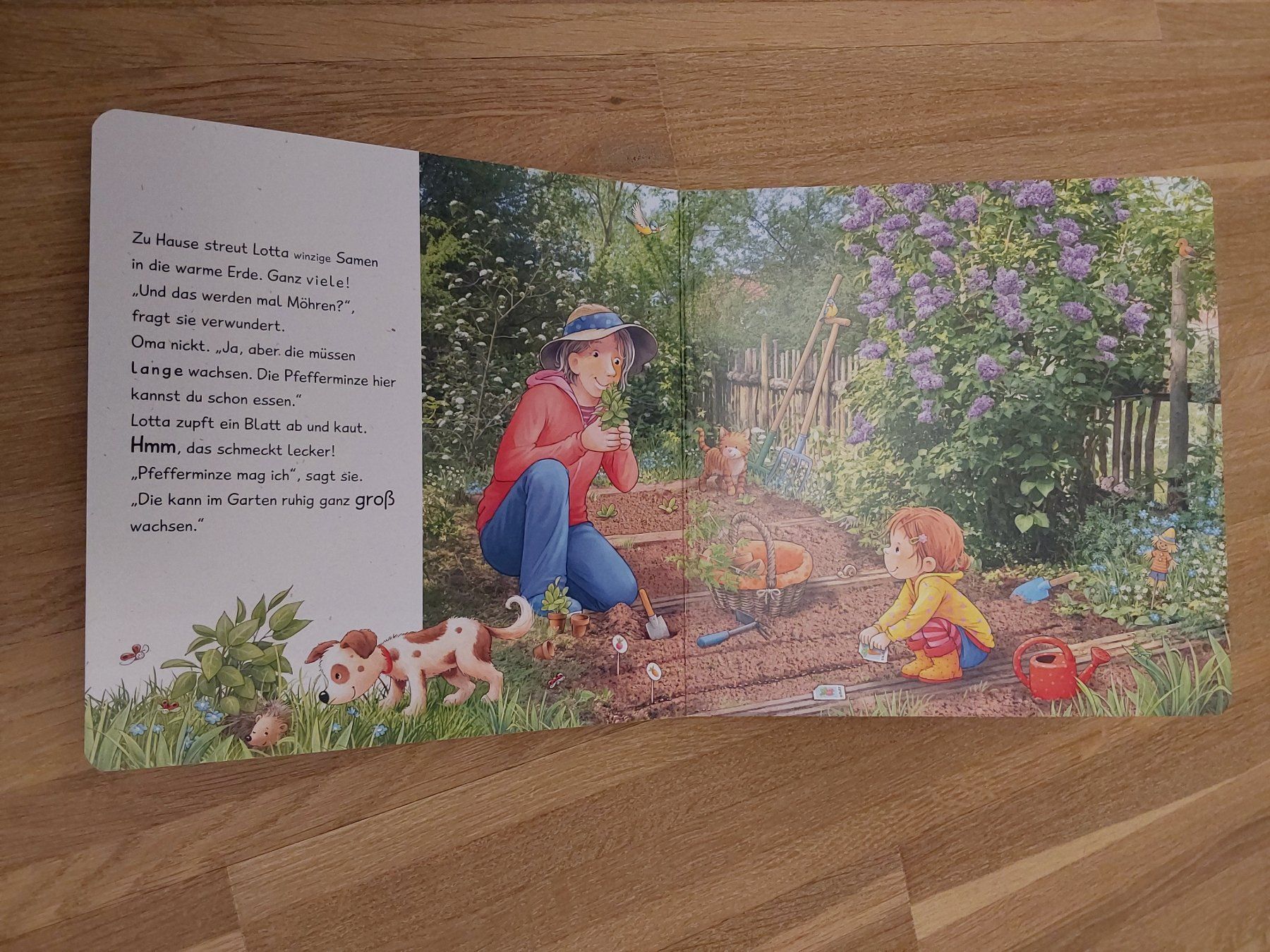 Libri: Kinder Bücher – Usato da Wallisellen venduto da Wallisellen77 6
