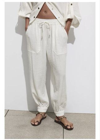 Zara pants