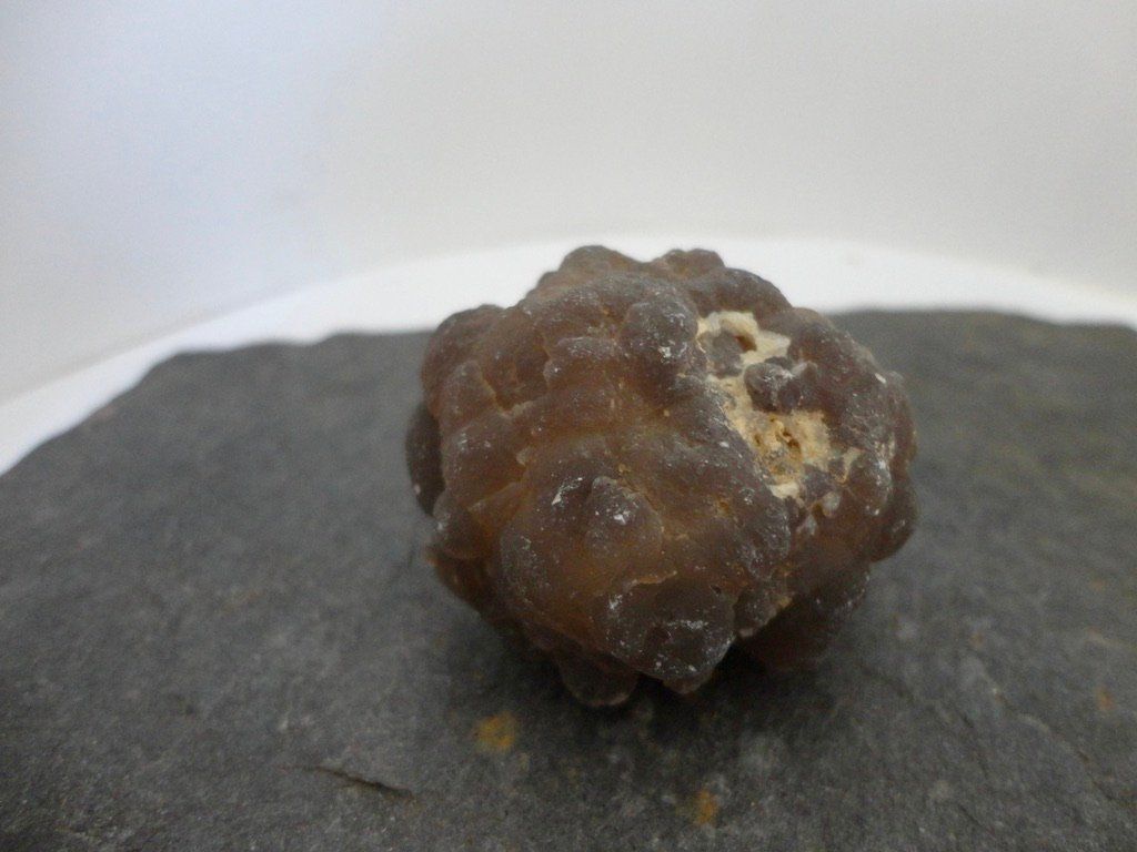 Edelsteine: Chalcedon- Knolle roh – Neu (gemäss Beschreibung) aus Biberist von Steine 1