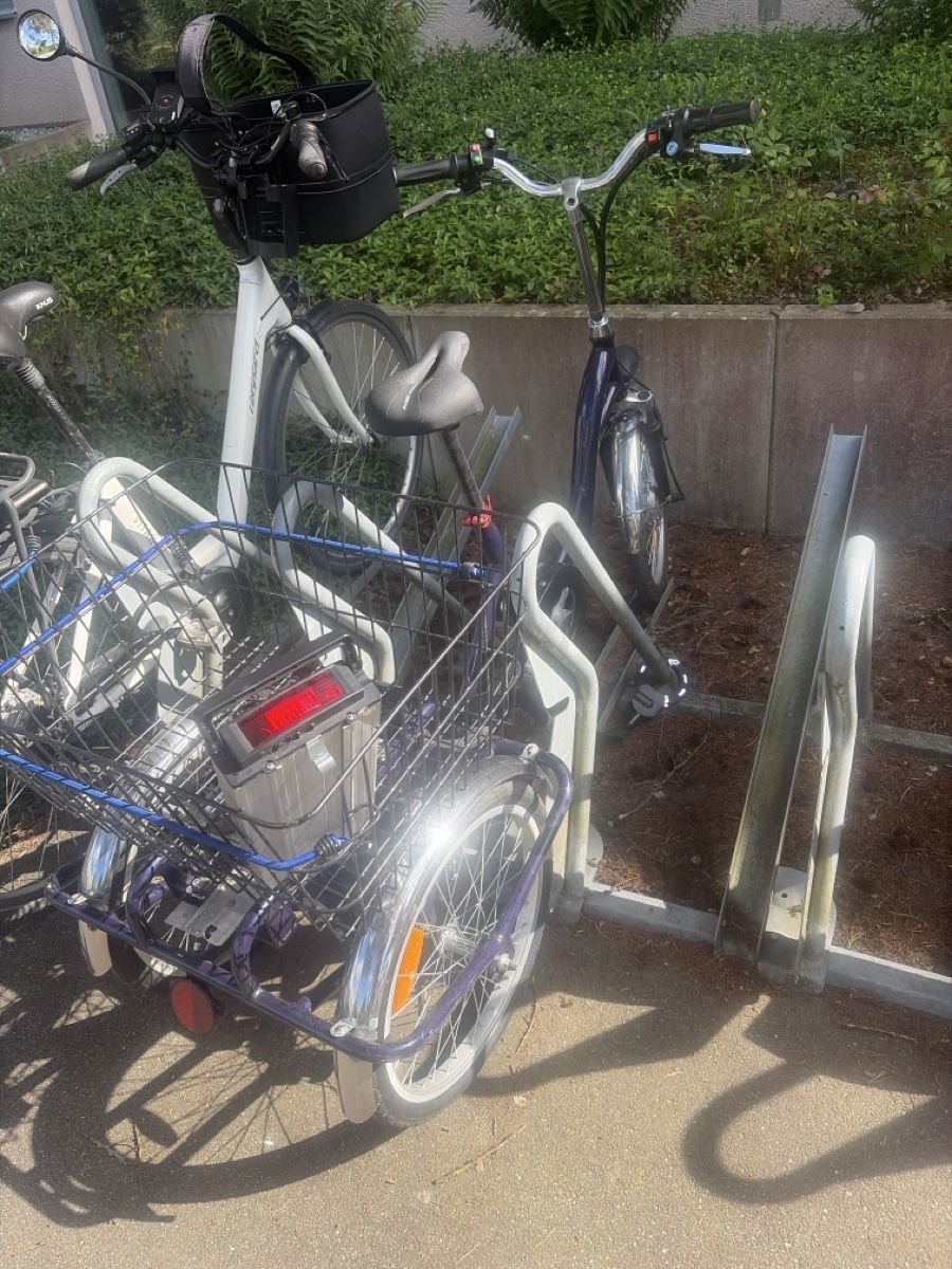 Biciclette: Praktisches E-Dreirad mit grossem Korb – Usato da Zürich venduto da Blume1103 1