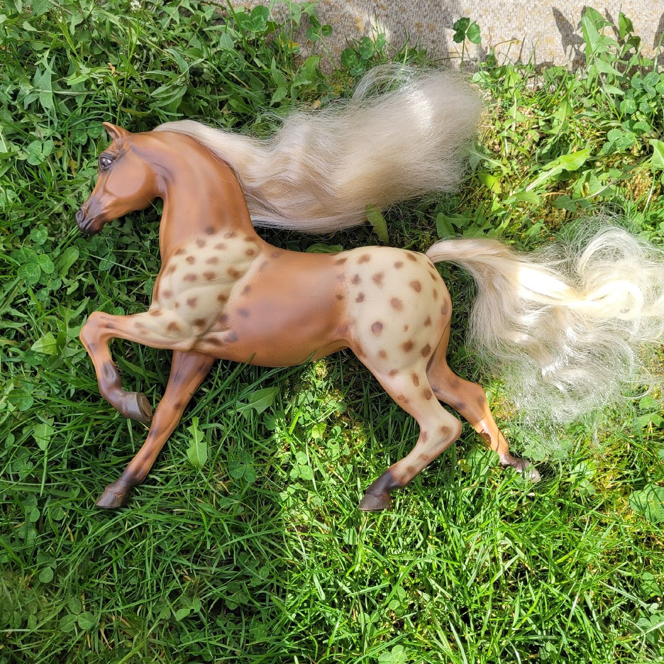Giocattoli: Barbie Pferd Hengst Aslan Repaint Unikat – Usato da Niederbuchsiten venduto da klengyel 9