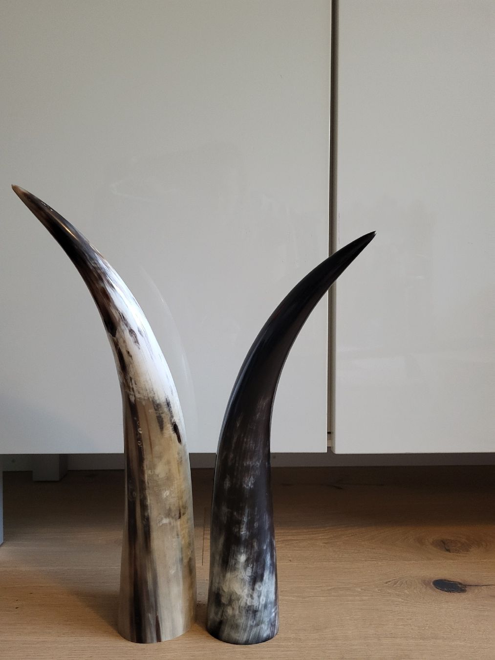 Tutte le decorazioni: Kuhhorn – Usato da Stalden (Sarnen) venduto da Wolfs_Feder 4
