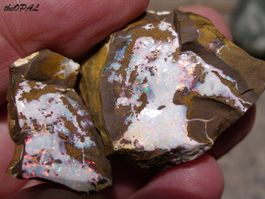 theOPAL *** ROHER BOULDER OPAL SPLIT 95,67ct ***