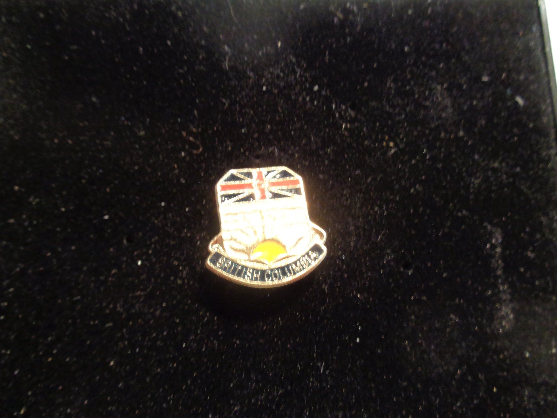 Placchette & Badge: Pin British Columbia – Usato da Birsfelden venduto da Albatros55