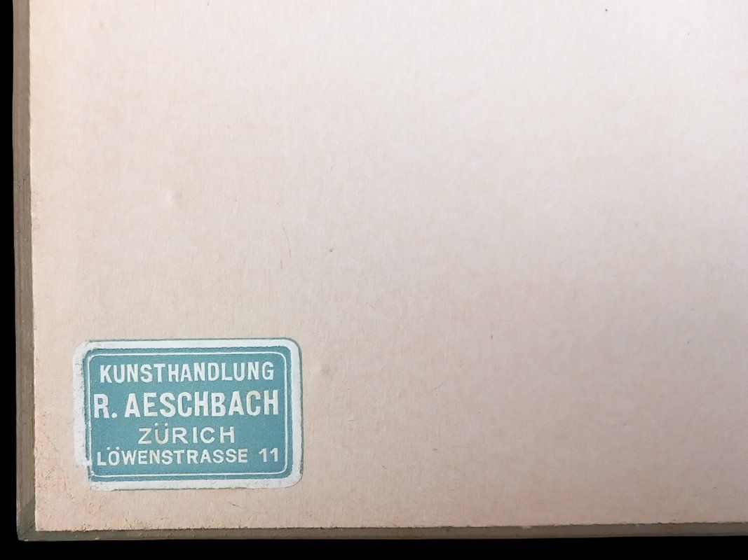 Foto & Immagini: Blumenbild in Bilderramen – Usato da Hünenberg venduto da Restwert_Zug 5