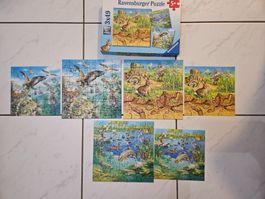 Ravensburger Puzzle 3x49 Teile, Top Zustand!