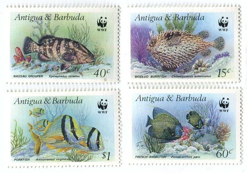 Tutti i francobolli: Briefmarken "Fische". Antigua und Barbuda – Nuovo e nell'imballaggio originale da Basel venduto da Butsch5