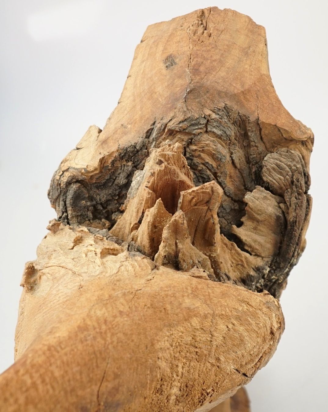 Sculture & Statue: Vogelskulptur aus Holz – Usato da Volketswil venduto da brockipfannenstil 5