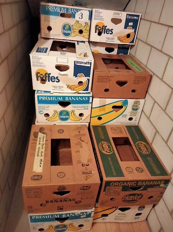 Cartoni: Bananenschachten – Usato da Hergiswil LU venduto da orjjo