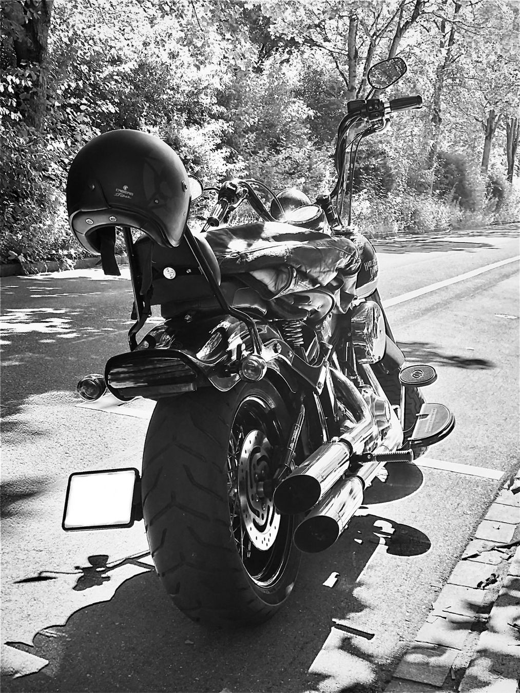 Harley-Davidson Chopper: Harley Davidson Cross Bones FLSTSB Softail – Usato da Dättwil AG venduto da Moneybrand