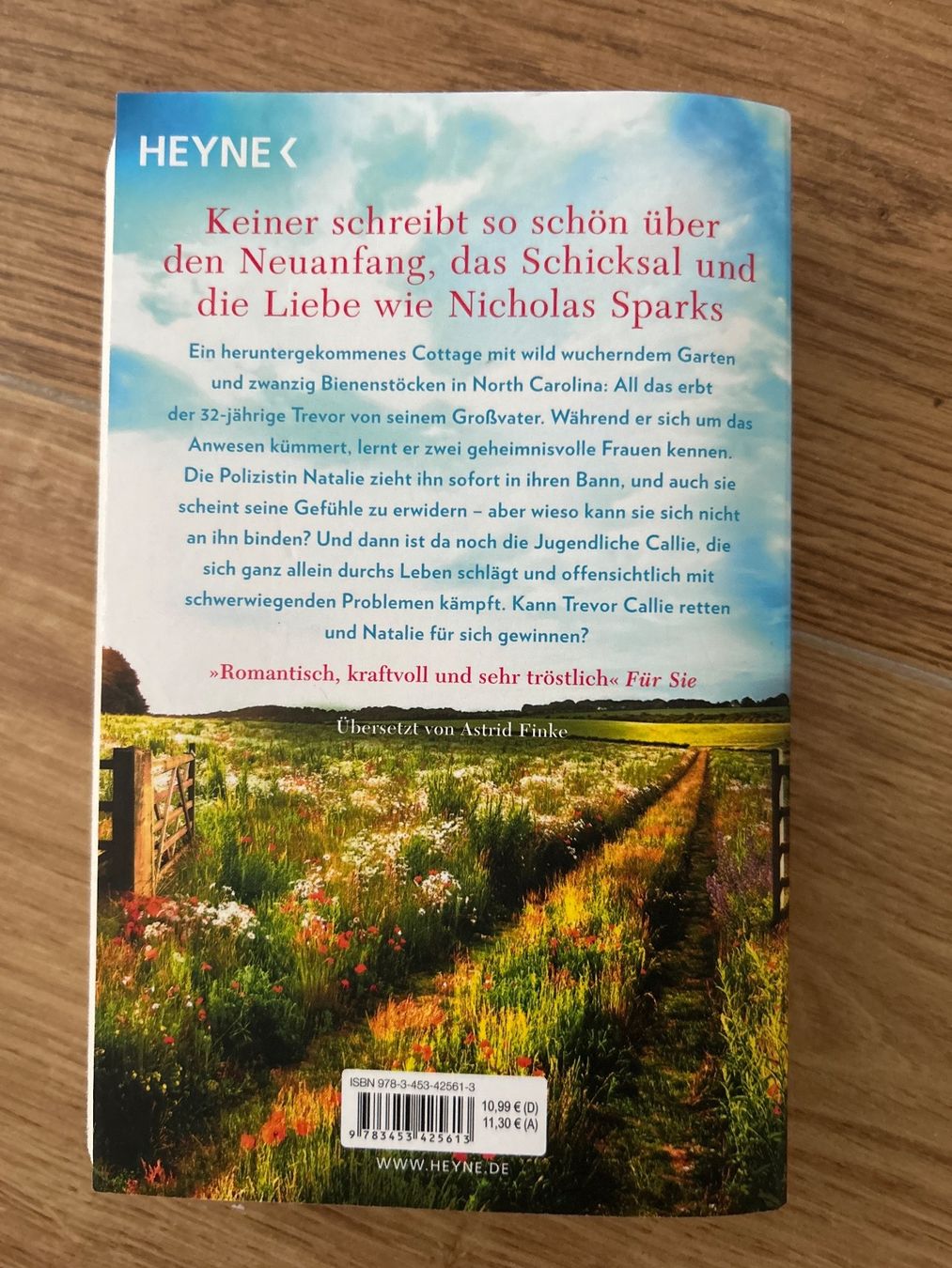 Bücher: Wenn du zürückkehrst – Gebraucht aus Worben von AlliaB 1