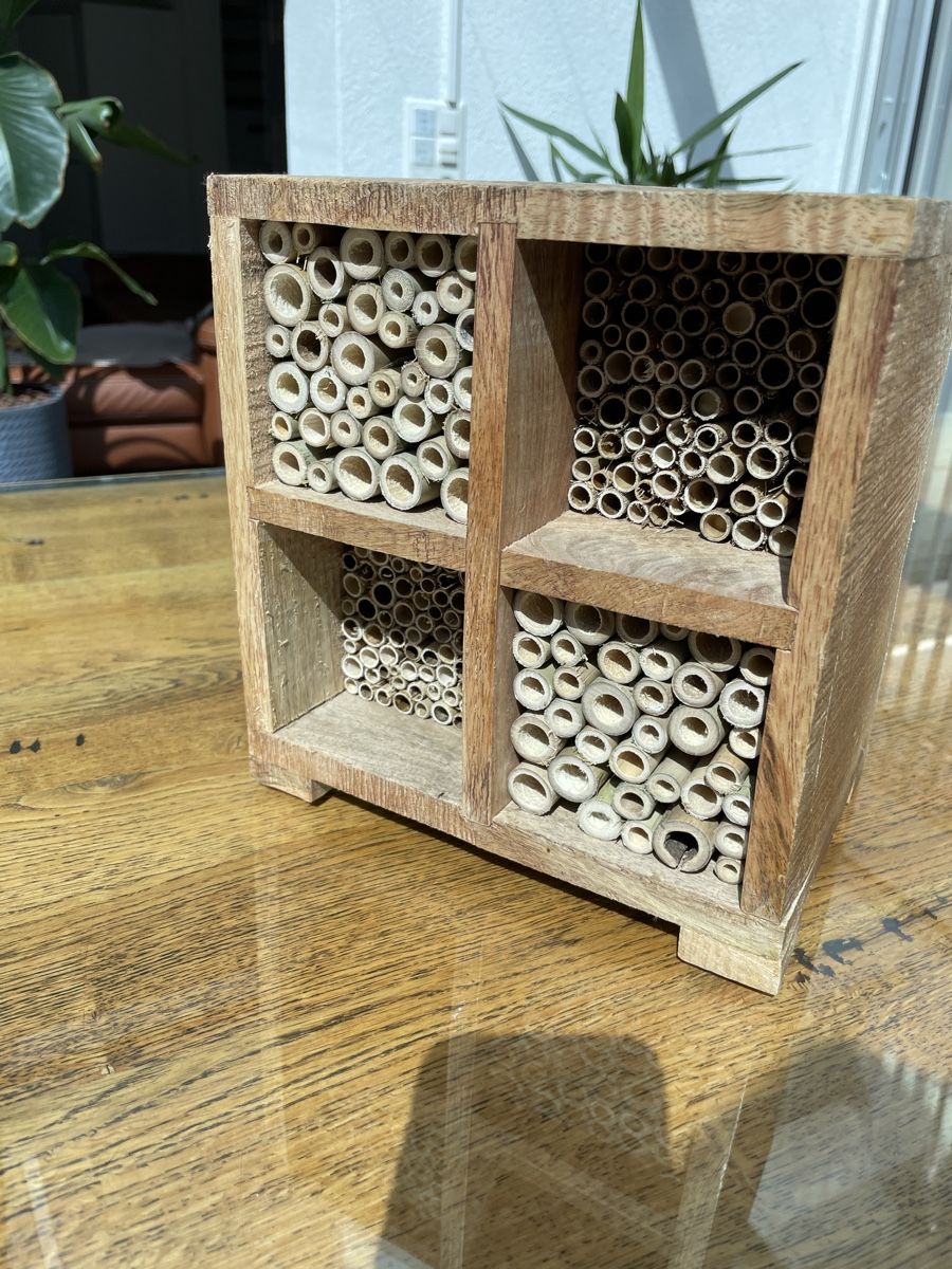 Bienenhäuser: Geräumiges Wilbienenhaus, robust – Neu (gemäss Beschreibung) aus Knonau von Kaktus122 1
