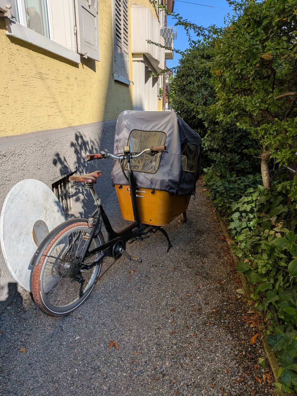 EGO Movement E-Cargo Lastenvelo – defekt / Fehler 08 (Défectueux) à ...