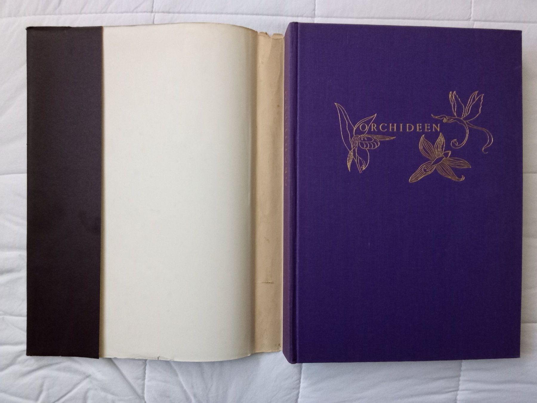 Bücher: Silva Buch Orchideen – Gebraucht aus Zürich von tol_b7c7 1