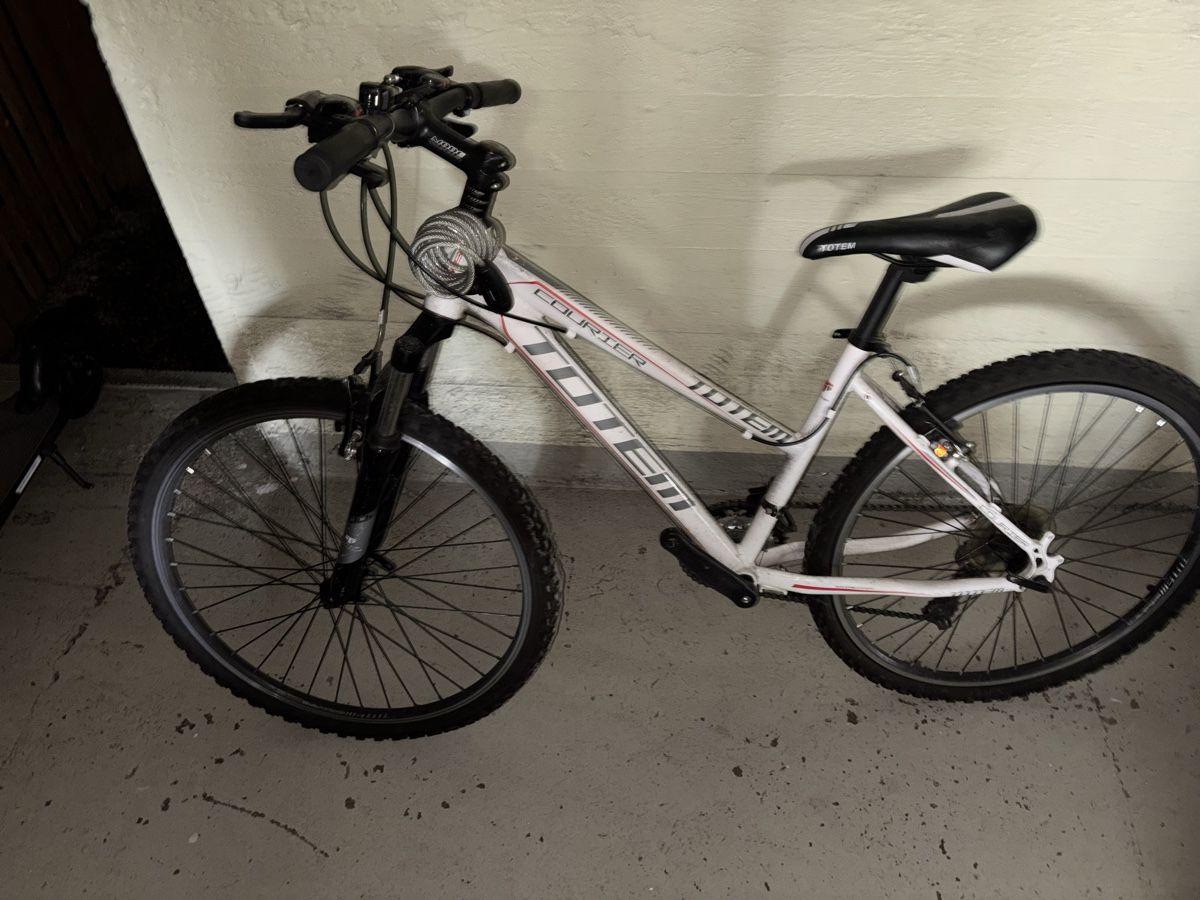 Totem Velos: Mountainbike Totem – Gebraucht aus Olten von Melxnie_46 1