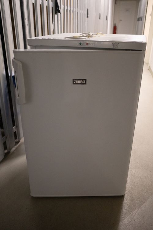 Butterregal Mit Eierablage Für Zanussi Kühlschrank - 484x60mm Ersatzteil