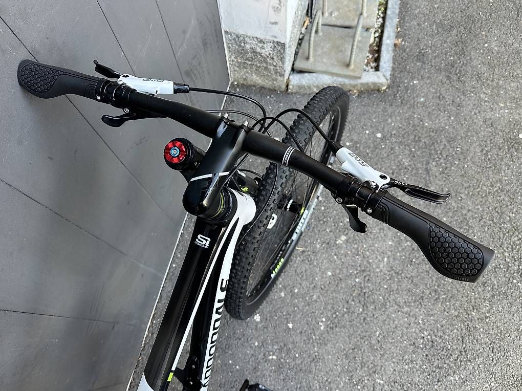 Velos: Bicicletta MTB Cannondale Lefty Carbonio 29  – Gebraucht aus Quartino von DiloUsato 6