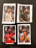 Panini Cola WM 2026
