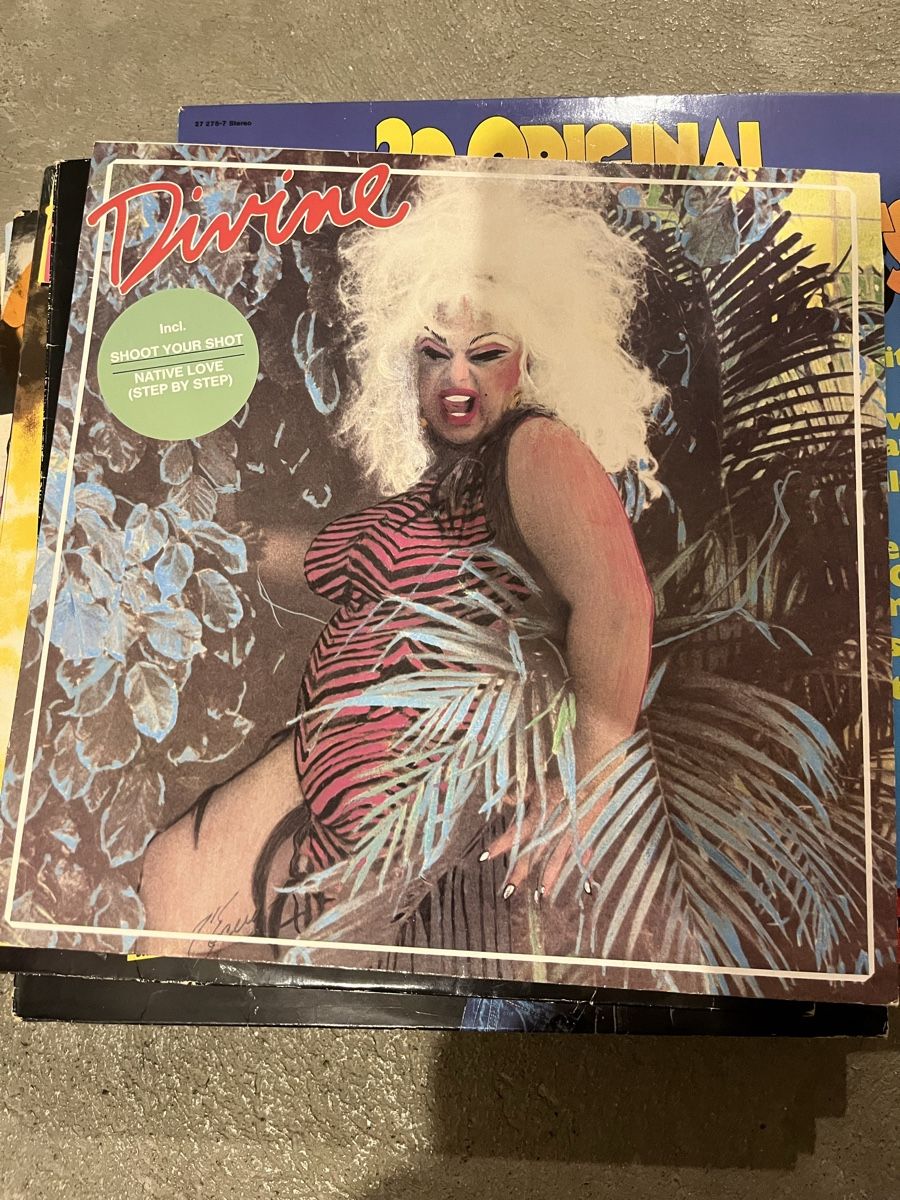Schallplatten: Divine - Jungle Jezebel - Vinyl LP - gebraucht – Gebraucht aus Lausen von annikaa.graf