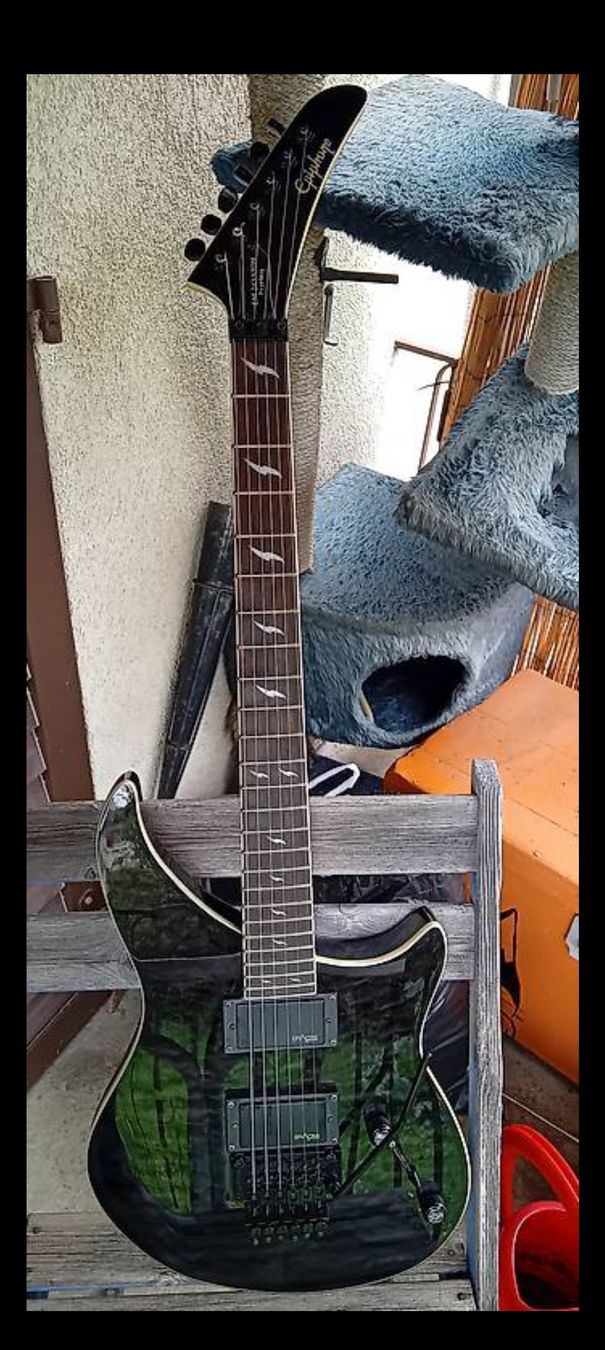 Epiphone Strumenti musicali: EPIPHONE EM-2 PROPHECY CUSTOM (AKTIV) – Usato da STAUFEN venduto da skullshredder 2