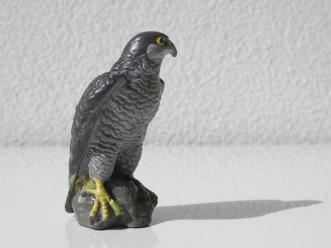 Schleich Statuette: Schleich 16705 Wanderfalke – Usato da Vilters venduto da hedi00 1