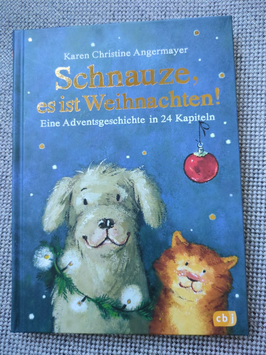 Bücher: Adventsbuch, mit 24 Kapiteln – Gebraucht aus Luzern von reg_dq65