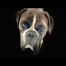 Profile image of Salzi50