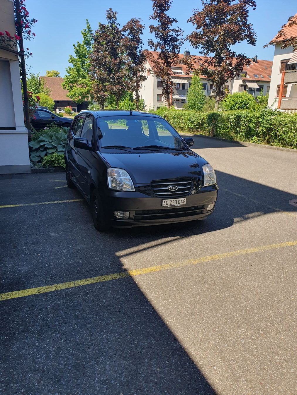 Kia Automobili: Kia Picanto – Usato da Lupfig venduto da Bluediamond63 1