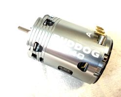 MOTEUR RUDDOG 4.0T 1/10