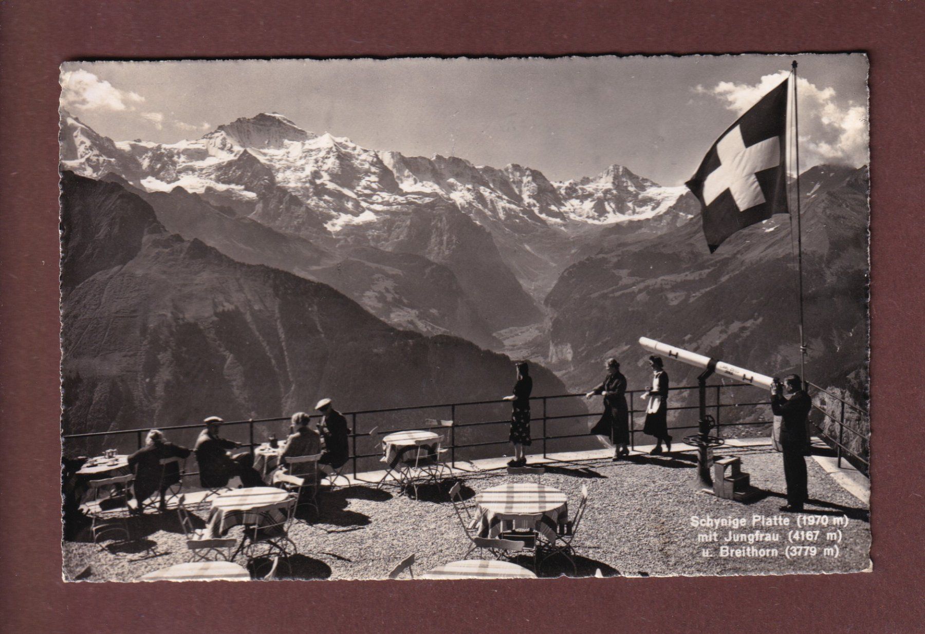 Cartoline postali: SCHYNIGE PLATTE - Jungfrau - 1951 – Usato da Pully venduto da nicecards-shop