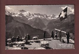 SCHYNIGE PLATTE - Jungfrau - 1951