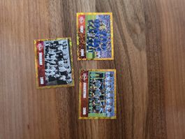 Panini WM 2026 FWC 10, 14, 17