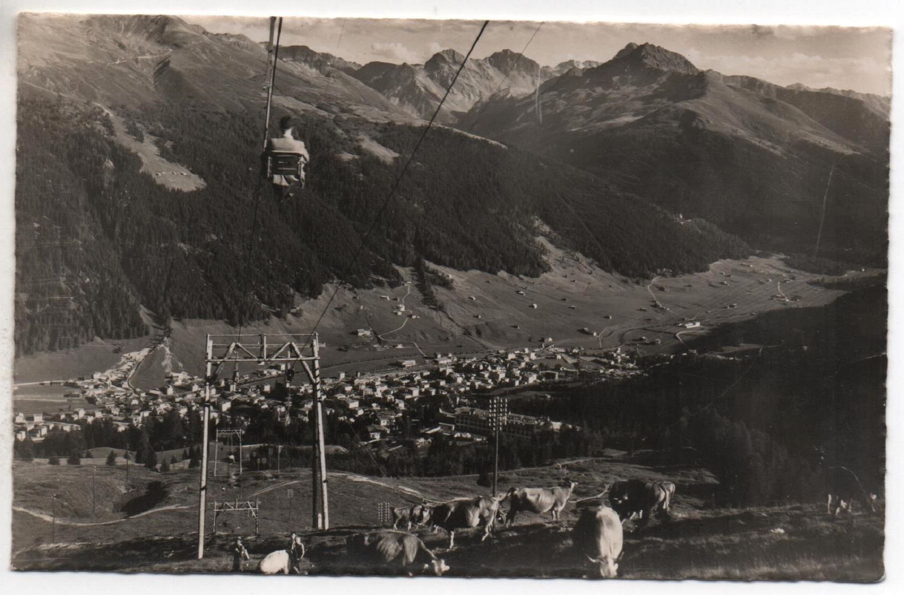 Ansichtskarten: DAVOS Sessellift am Strelapass, Kühe – Gebraucht aus Jona von philajona
