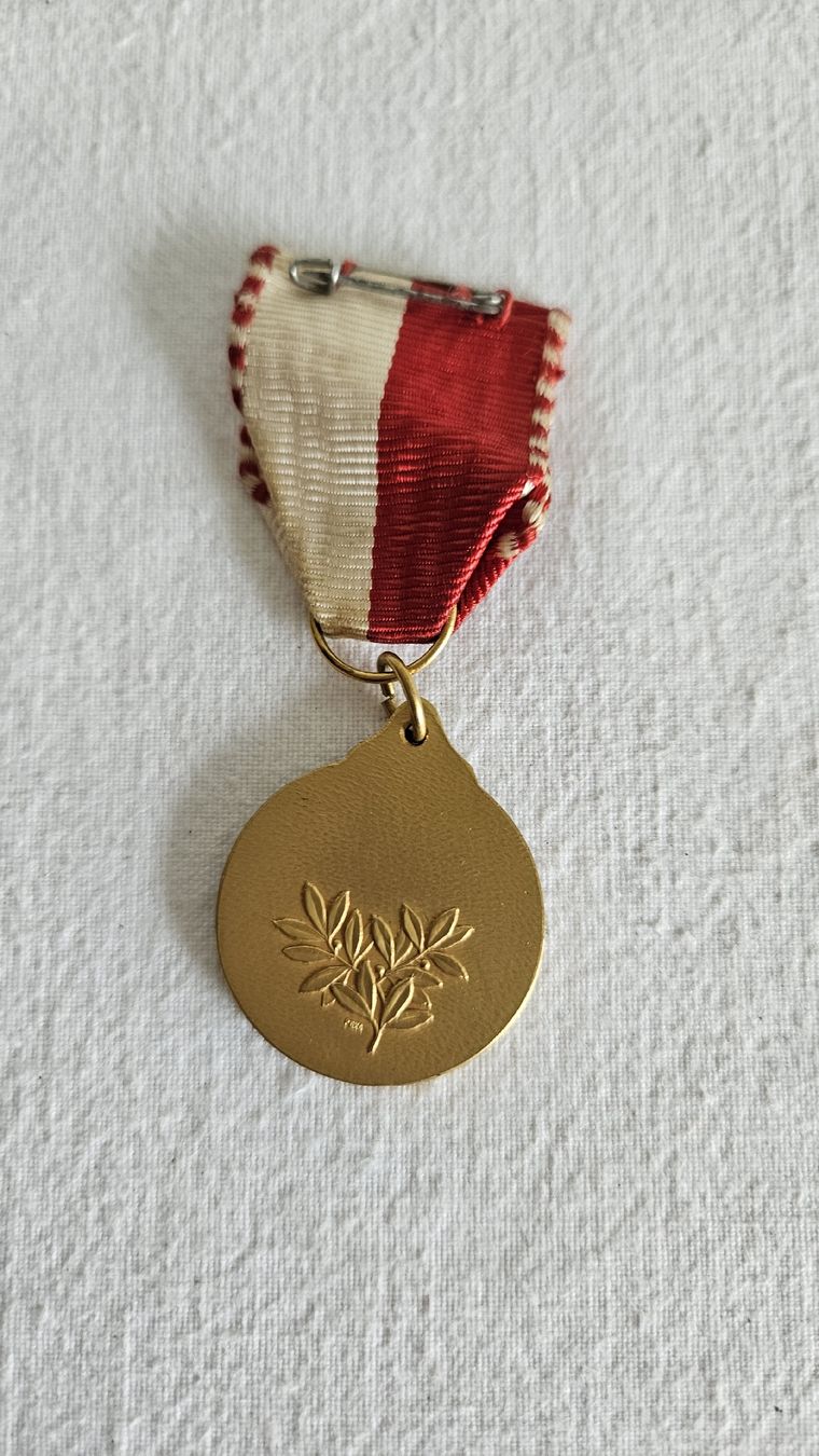 Medaglie: Antikes Basler Waldlauf 1950 Medaille – Usato da Ettingen venduto da samiba 1