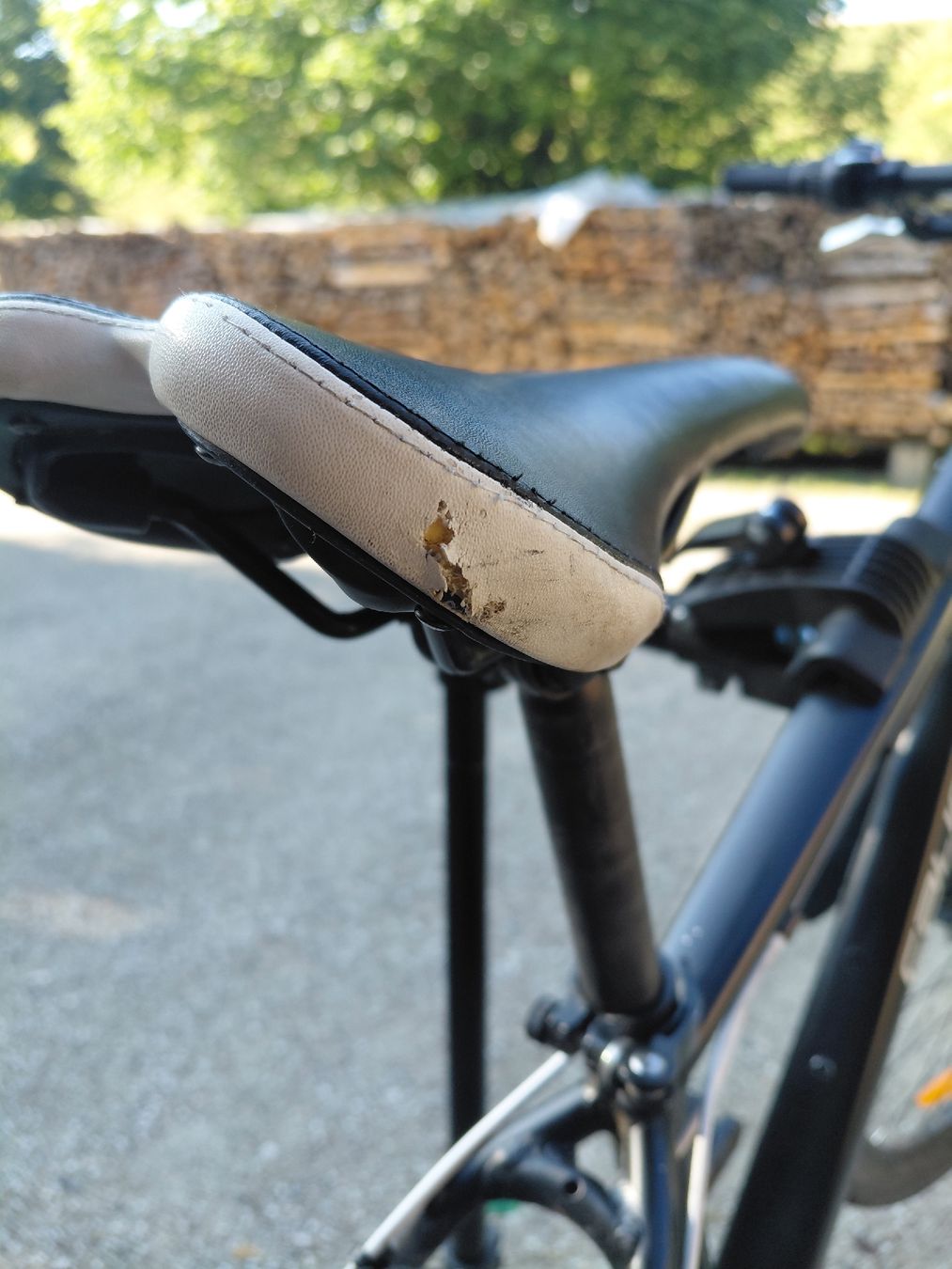 Velos: california mountenbike – Gebraucht aus Biglen von mic_pjg6 2