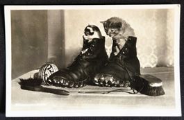 Katzen In Militär-Stiefel Chats dans Souliers Postkarte CP