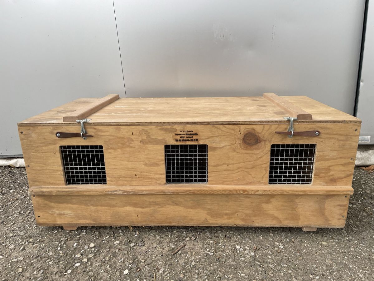 Altro in Decorazioni & Accessori: Transportbox für Kaninchen – Usato da Willisau venduto da lar.ssa