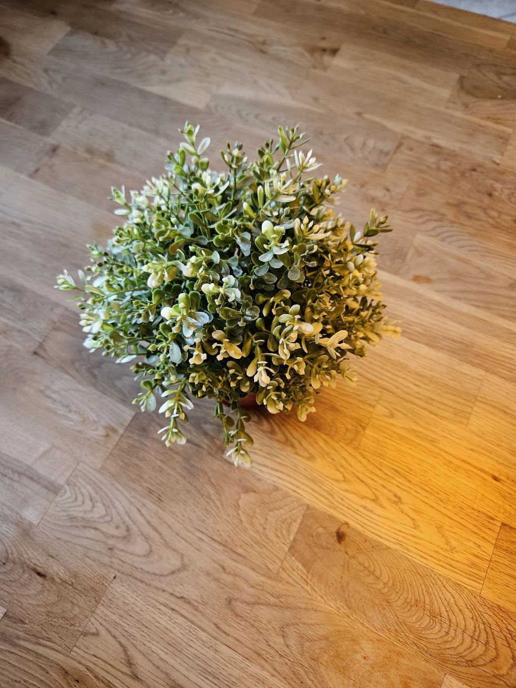 Ikea Alle Dekorationen: Deko Pflanze mit rotem Topf IKEA VINTER 2018 klein – Gebraucht aus Davos Platz von egl_h2gt 2