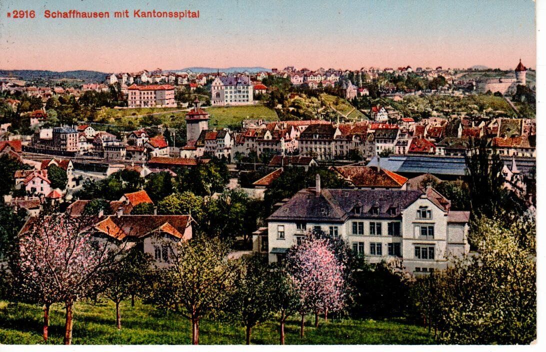 Cartoline postali: Schaffhausen 1919 – Usato da Wolhusen venduto da Curver9
