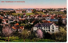 Schaffhausen 1919