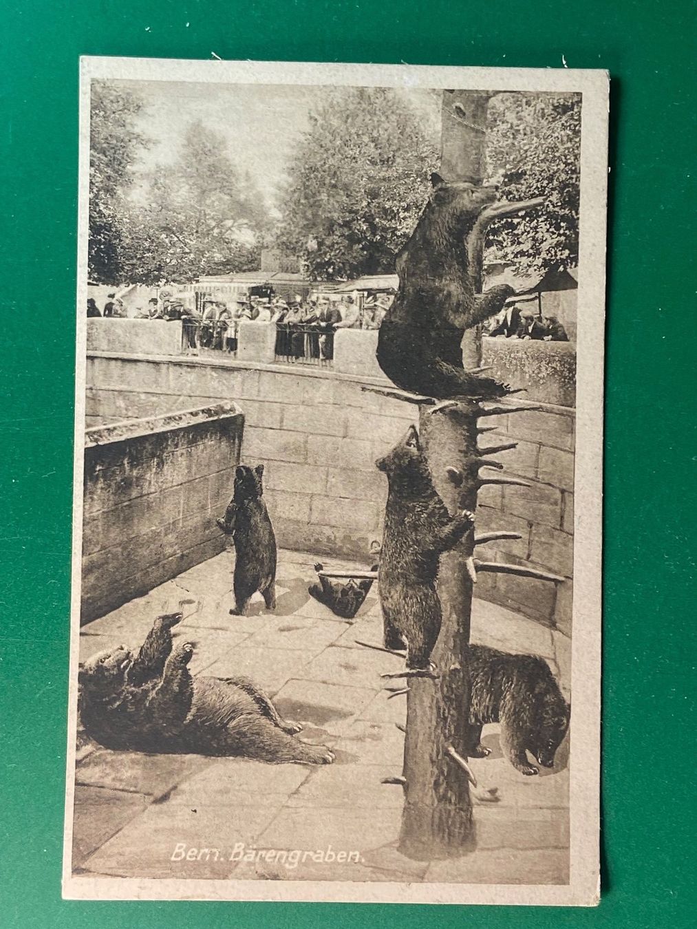 Cartes postales: Bern, Bärengraben – D'occasion à Steg VS par _vinci_