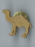 Camel PIN