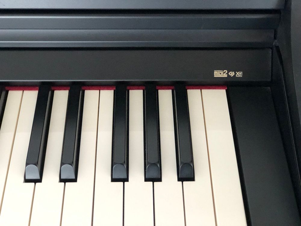 Roland RP201 Digital Piano Kaufen auf Ricardo