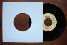 ROMANTIC FLAMINGOS - CIAO CIAO ROMINA