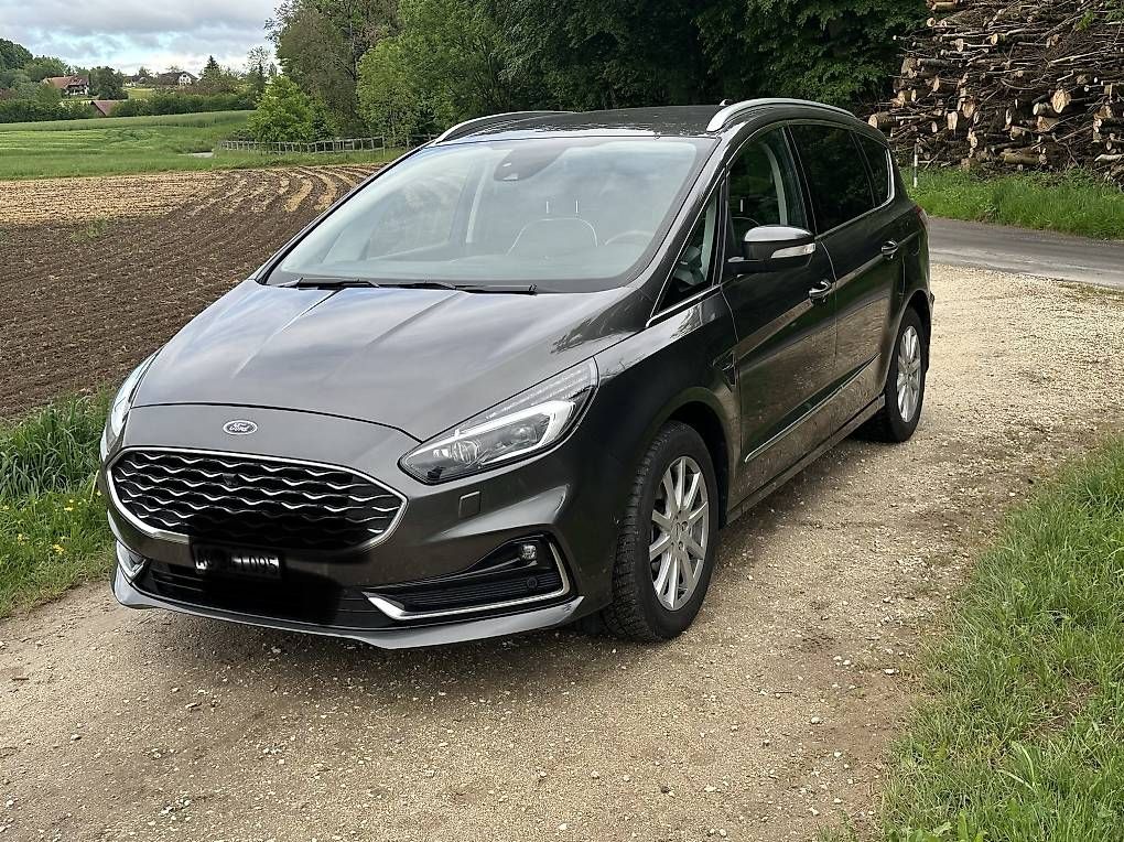 Ford Rimorchi: Ford S-max – Usato da Rothrist venduto da Chnupperi